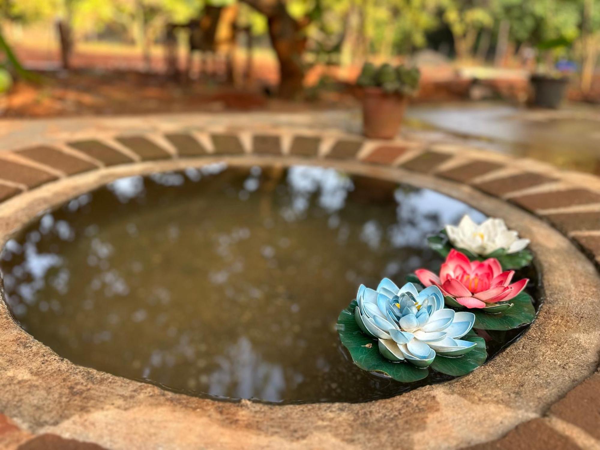 Lotus Garden Guest House Auroville Extérieur photo