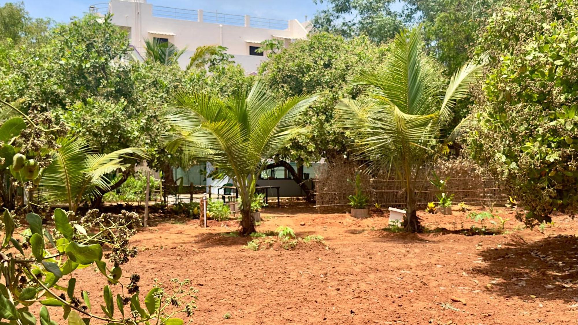 Lotus Garden Guest House Auroville Extérieur photo
