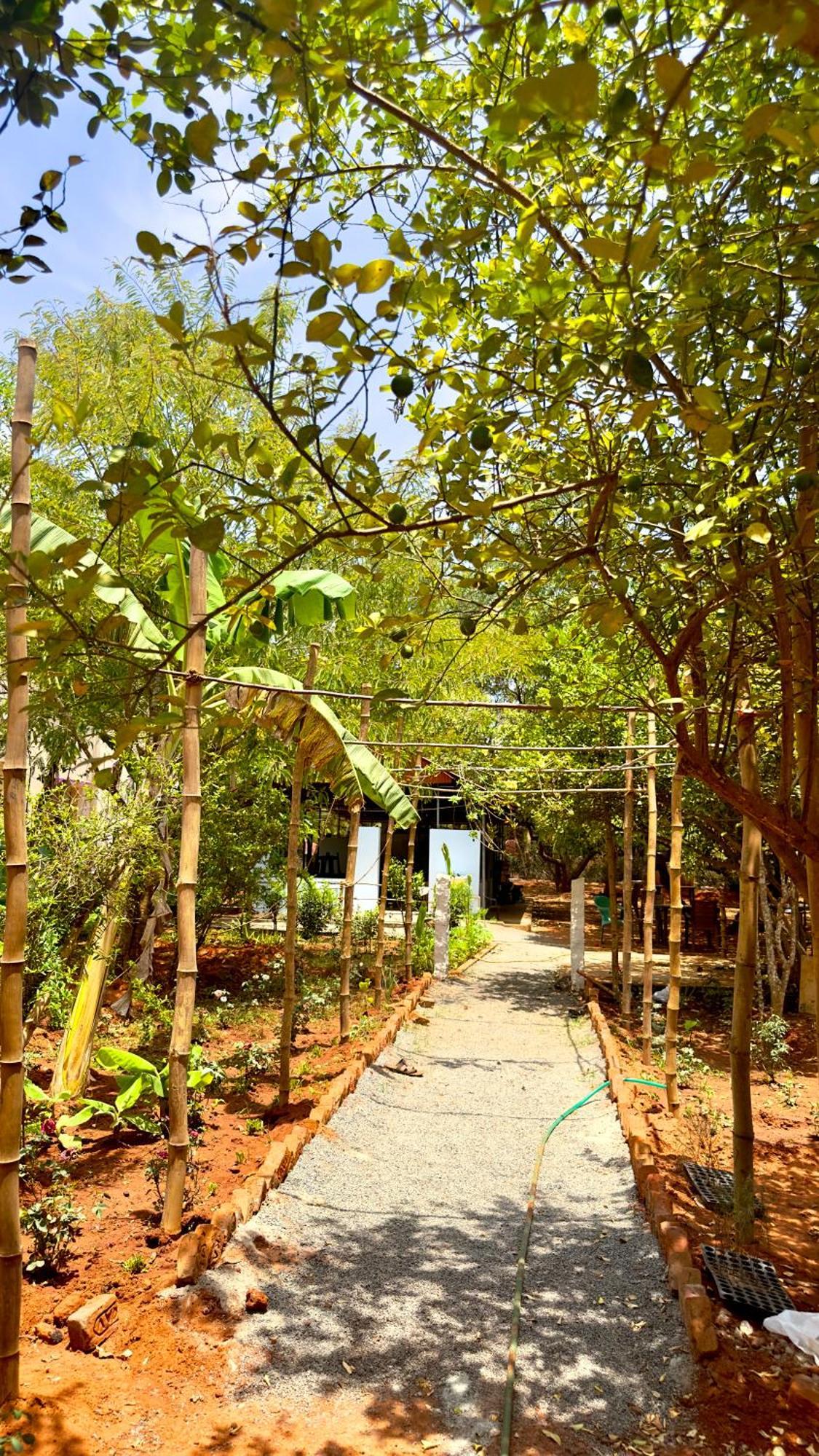 Lotus Garden Guest House Auroville Extérieur photo