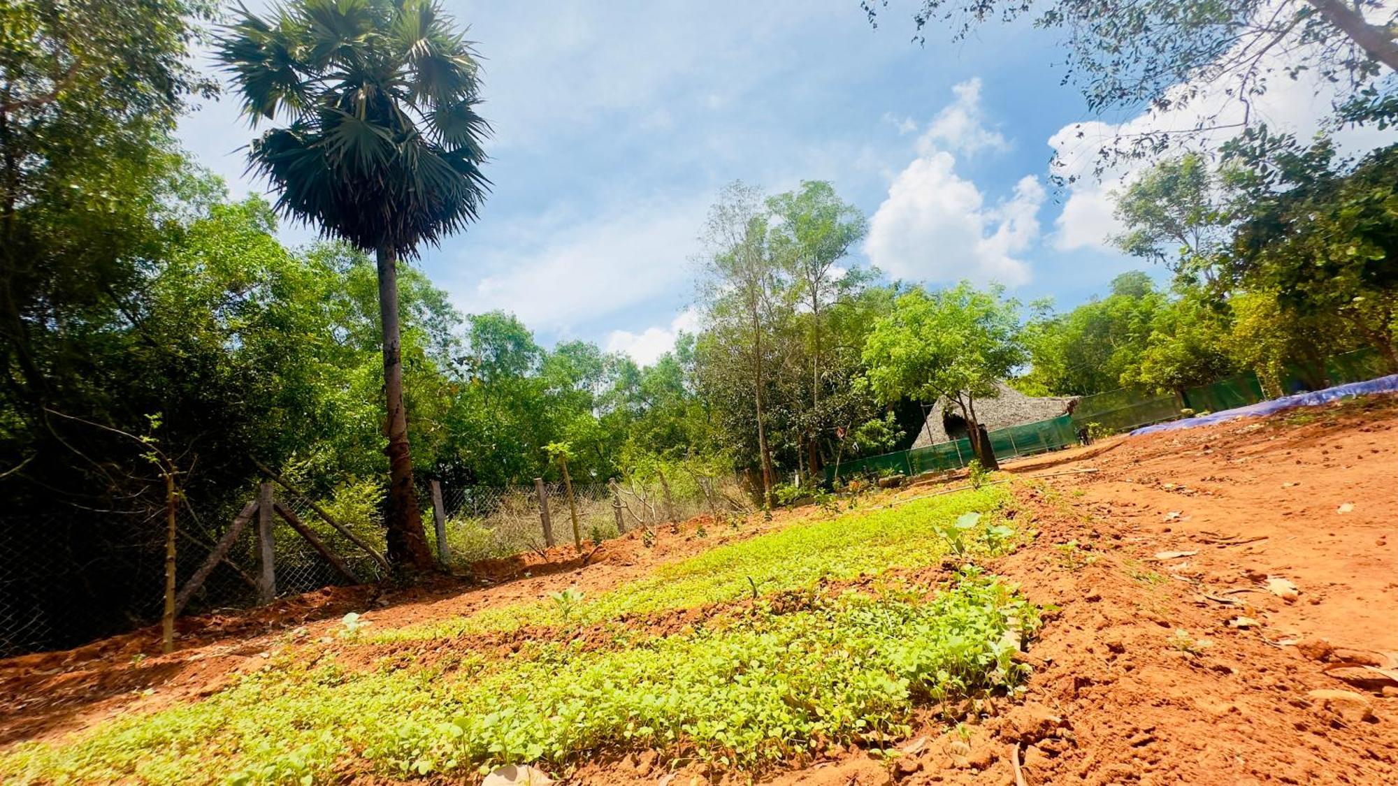 Lotus Garden Guest House Auroville Extérieur photo